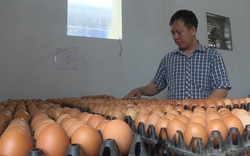 10 triệu dân Hà Nội cần bao nhiêu quả trứng, tấn thịt mỗi tháng, chợ dân sinh đóng cửa thì mua hàng ở đâu? 