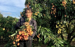 Huyện nào của tỉnh Đắk Lắk có tới hơn 8.200 hộ nông dân đạt danh hiệu sản xuất kinh doanh giỏi? 
