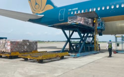 Vietnam Airlines khó khăn, Công ty con vẫn đặt kế hoạch chia cổ tức 75%