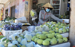 TP.HCM: Hơn 100 chợ đóng cửa, tiểu thương tìm cách tồn tại qua mùa dịch