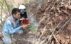 Đắk Lắk: Kỳ thú, lang thang thổi khói mù mịt "săn lộc trời" của loài côn trùng ưa làm tổ ở dưới đất