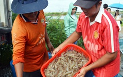 Xuất khẩu thủy sản sang Mỹ tăng “khủng” trên 37% chỉ nhờ một chiến dịch 