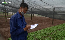 Nhật ký trồng rau - Kỷ luật trong sản xuất nông sản an toàn của nông dân Tiền Lệ