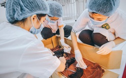 Bệnh viện Thú y, Học viện Nông nghiệp Việt Nam mở dịch vụ chăm sóc thú cảnh khi giãn cách xã hội