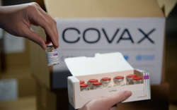 Cuối năm 2021 sẽ tiến hành tiêm vắc xin Covid-19 trên quy mô lớn