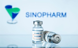 1 triệu liều vaccine Sinopharm của TP.HCM đã được kiểm định