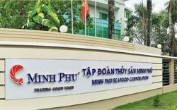 Thủy sản Minh Phú (MPC): Được hoàn thuế chống bán phá giá hơn 336 tỷ đồng; quý II lãi ròng tăng 28%