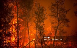 Ám ảnh với loạt hình ảnh cháy rừng kinh hoàng tại Hy Lạp