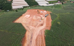 Lâm Đồng: Cận cảnh Dự án điện gió Cầu Đất "phá nát" đồi chè trăm tuổi 