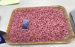 Hơn 30kg ma túy được ngụy trang bỏ trong viên kẹo socola từ Pháp về TP.HCM