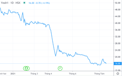 Thua lỗ kỷ lục trong quý 2, Yeah1 bán tiếp cổ phần công ty con