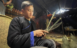 Yên Bái: Chàng dược sỹ người Mông với khao khát giữ nghề truyền thống