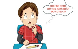 Đơn đề nghị hỗ trợ khó khăn do Covid-19 viết tay hay đánh máy?  