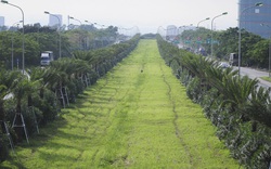 Công ty Công viên cây xanh Hà Nội trúng hàng loạt gói thầu "khủng" nào trên địa bàn Thành phố?