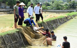 Lào Cai: Nuôi những con cá chép to bự, giãy đành đạch, hội viên dân tộc Giáy tiết lộ bí quyết thành công