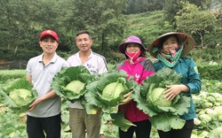Hội Nông dân Lào Cai gửi tặng Hà Nội 33 tấn rau xanh tươi ngon