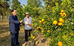Điện Biên: Xây dựng Hội Nông dân vững mạnh, tạo điểm tựa cho nông dân phát triển sản xuất