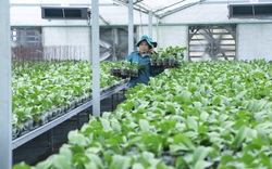 KH&CN góp phần đưa Việt Nam lọt top 15 xuất khẩu nông sản lớn trên thế giới