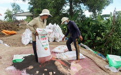 Giá phân bón "tăng chóng mặt", nông dân An Giang lo ngay ngáy, UBND tỉnh chỉ đạo ngay điều gì?