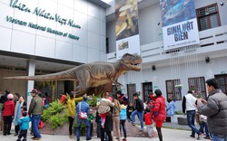 Hà Nội: Sẽ xây dựng Bảo tàng Thiên nhiên Việt Nam quy mô hơn 38 ha