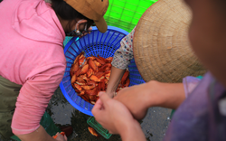 Hy hữu: Phát hiện giấy đi đường của người bán cá mới "8 tháng tuổi" ở Hà Nội