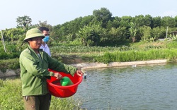 Thái Nguyên: 2.100 lượt hộ hội viên nông dân được Quỹ Hỗ trợ nông dân "tiếp sức"