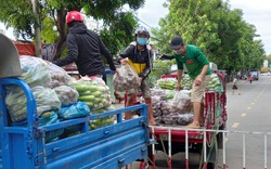 Không thể vận chuyển nông sản vì thiếu giấy đi đường, doanh nghiệp kêu cứu