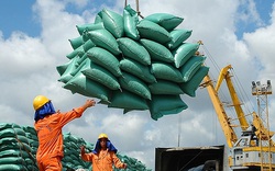 Nhu cầu khách quốc tế cao nhưng gạo Việt vẫn phải nằm im chờ tại cảng vì lý do này  