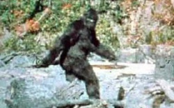 Người đàn ông hãi hùng nhớ lại cuộc săn đuổi với quái vật Bigfoot cao gần 2m5