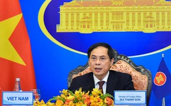 Bộ trưởng Ngoại giao các nước Mekong-Mỹ: Ưu tiên hàng đầu là ứng phó đại dịch, tiếp cận vắc xin