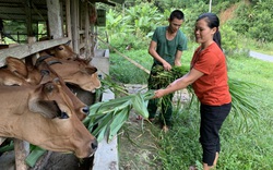 Lai Châu: Xã biên giới Pa Ủ nhiều thay đổi trong xây dựng Nông Thôn mới

