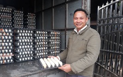 Hải Phòng: Giá trứng gà, giá trứng vịt tăng đột biến