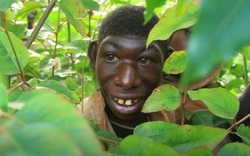 "Người rừng" 22 tuổi thích ăn chuối, một tuần chạy trong rừng sâu 230 km và không thể giao tiếp