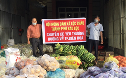 Covid-19 Lâm Đồng: Hội Nông dân tỉnh vận động, quyên góp 300 tấn rau sạch, 25 tấn gạo gửi tặng vùng dịch
