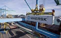 Hãng vận tải container lớn nhất hành tinh báo lãi khủng khi cước logistics leo thang kỷ lục