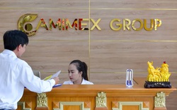 Camimex Group: Chi hơn 180 tỷ mua cổ phần Camimex Foods và tham vọng khi liên tục tăng vốn