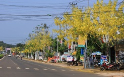 Thành phố Gia Nghĩa: Đẩy mạnh chuyển dịch cơ cấu kinh tế để phát triển bền vững