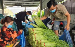 Bạc Liêu: Rau má, cá đặc sản hội viên, nông dân gom góp gửi tặng khu cách ly, vùng phong tỏa