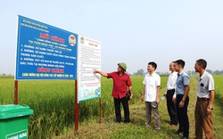 Bắc Giang: Phong trào “3 không” giúp ruộng đồng nơi đây ngày càng xanh, sạch, đẹp