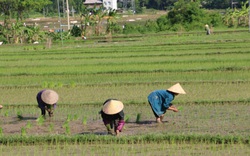 Hội Nông dân Chiềng Châu: Xây dựng tổ chức Hội ngày thêm vững mạnh