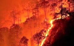 10 vụ cháy rừng tồi tệ nhất thế giới từng chứng kiến