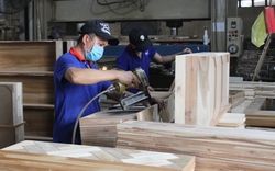 Sản phẩm công nghiệp cao su và chế biến gỗ bị ảnh hưởng nặng do thực hiện "3 tại chỗ" 