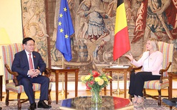 Chủ tịch Quốc hội đề nghị Chủ tịch Hạ viện Bỉ quan tâm để EU sớm gỡ thẻ vàng thủy sản IUU