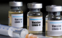 Kỷ luật Chủ tịch xã mời 20 người thân cán bộ tiêm vaccine sai quy định