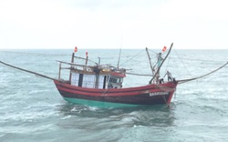 3 tàu cá Thanh Hóa mất liên lạc: Tàu TH 92886 TS đã kết nối với đất liền từ vịnh Bắc Bộ 