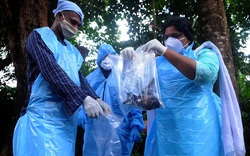 Virus đáng sợ hơn Covid-19 khiến bé trai 12 tuổi thiệt mạng, Ấn Độ ráo riết dập dịch