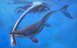 Bí ẩn về con quái vật biển từng 'thống trị' đại dương cổ đại