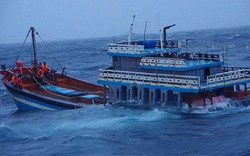 Bão Côn Sơn đánh chìm tàu cá, cảnh sát biển giải cứu 18 thuyền viên gặp nạn