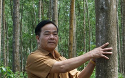 TT-Huế: WWF-Việt Nam viện trợ gần 5 tỷ giúp người dân, doanh nghiệp quản lý rừng bền vững 