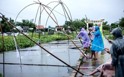 Quảng Nam: Cao thủ không bằng tranh thủ, sau mưa lớn, người dân giăng lưới bắt cá mưu sinh